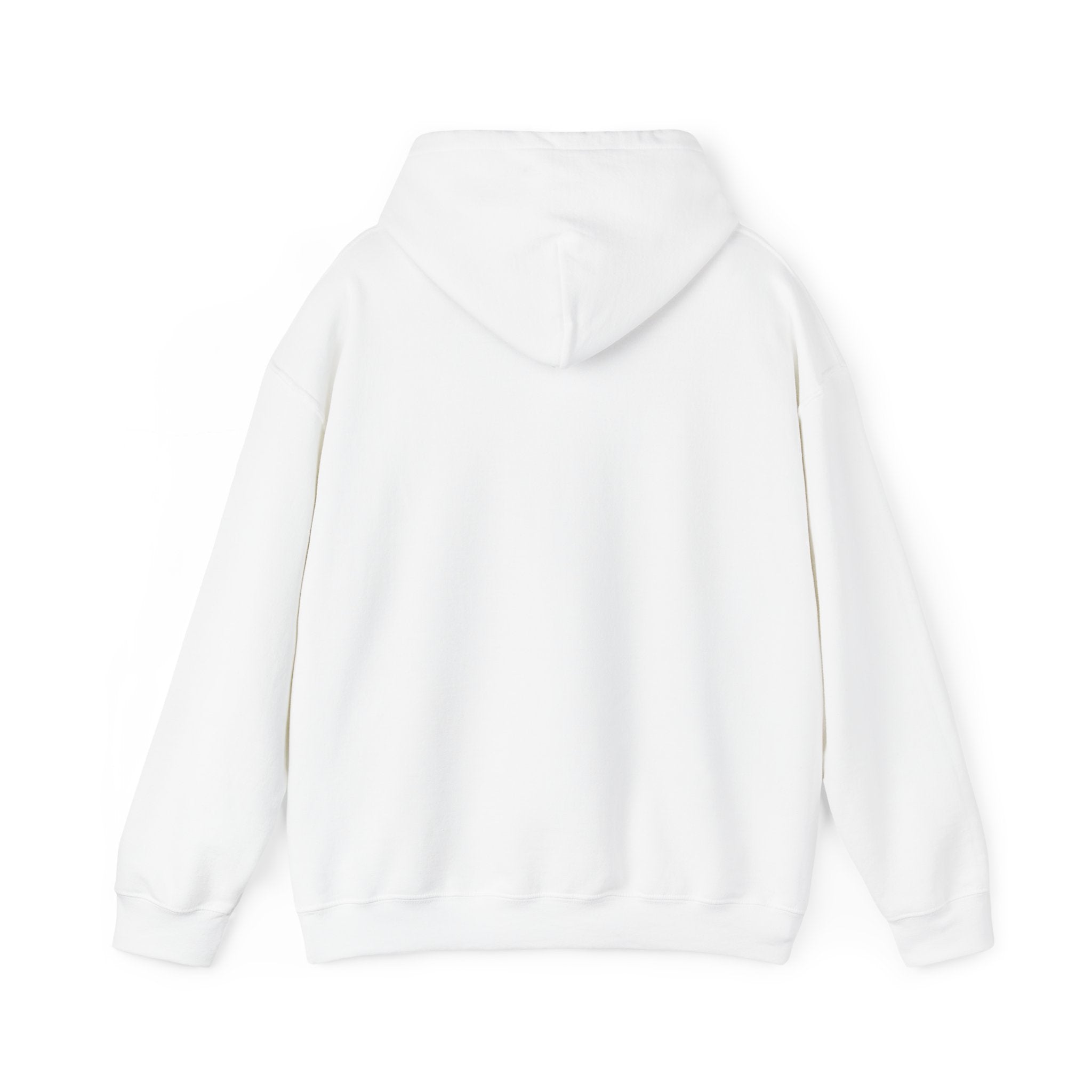 NTV Hooded Sweatshirt